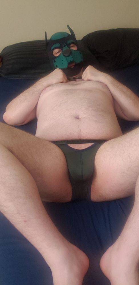 Pup in jock and hood, laying down for belly rubs and ball taps 