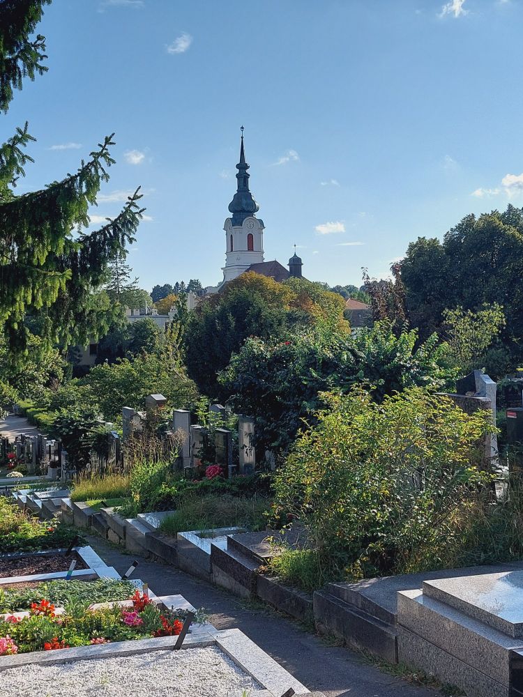 Friedhof, dahinter die Kaasgrabenkirche, Wien-Grinzing