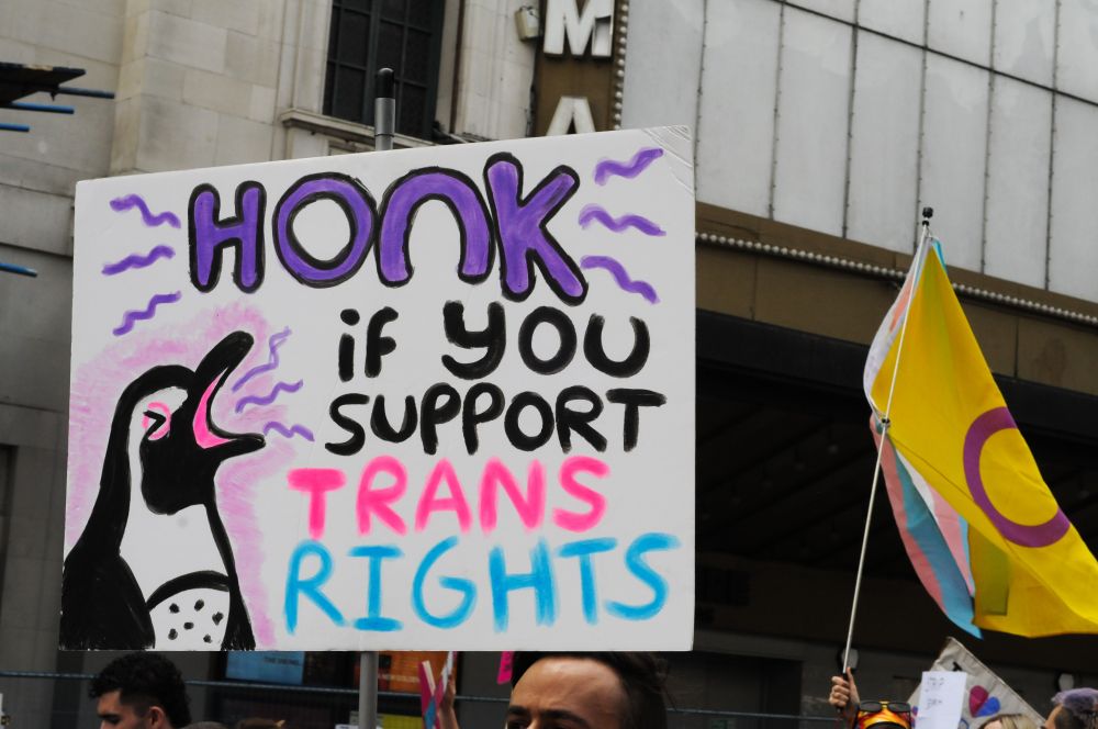 Sign thay reads honk if you support trans rights