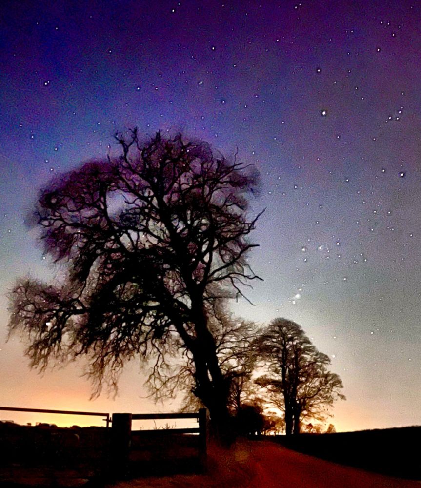 A photo of a tree silhouagainst a starry sky shades of peach and yellow and a road visible bottom right to centre