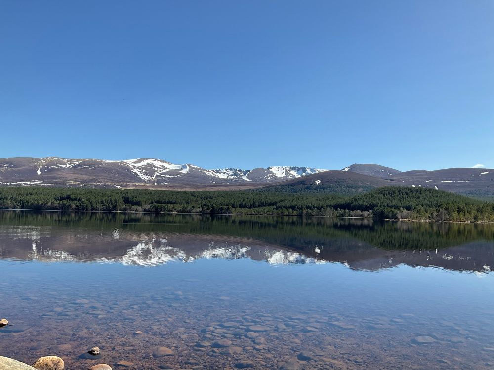 Blue sky above mountains with vestiges of snow. A pine forest below, both reflected in clear still water, stones and rocks visible in the shallows.