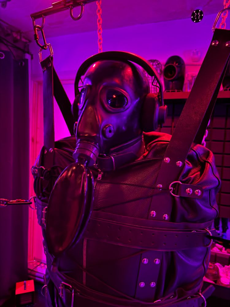 Studiogum Gimp