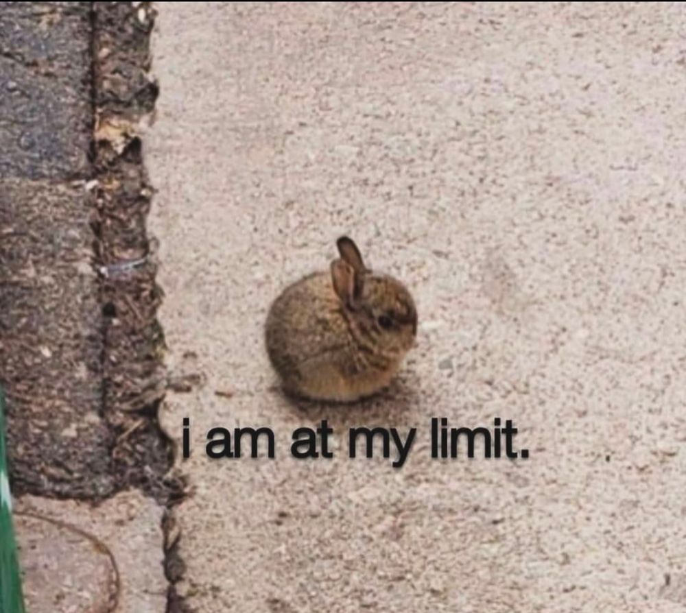 A little bunny, maybe a hand-size big. Under the bunny is a text with "I am at my limit"