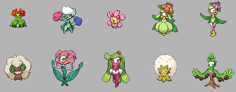 Regional Grass Girls, Bellossom, Roserade, Cherrim, Lilligant, Whimsicott, Florges, Tsareena, Eldegoss, and Arboliva
