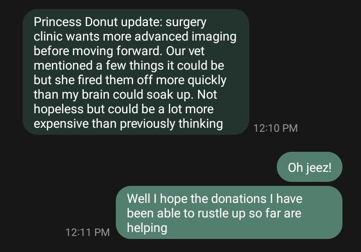 Text convo between me and the foster fam:

Foster: "Princess Donut update: surgery clinic wants more advanced imaging before moving forward. Our vet mentioned a few things it could be but she fired them off more quickly than my brain could soak up. Not hopeless but could be a lot more expensive than previously thinking"

Me: "oh Jeez! Well I hope the donations I have been able to rustle up so far are helping"