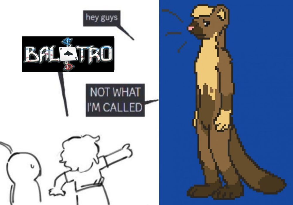 "Hey guys"
"BALATRO"
"NOT WHAT I'M CALLED"