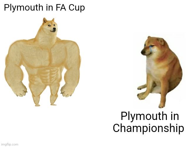 Meme image with a buff dog on the left and words saying Plymouth in the FA Cup, while on the right is a small dog saying Plymouth in Championship 