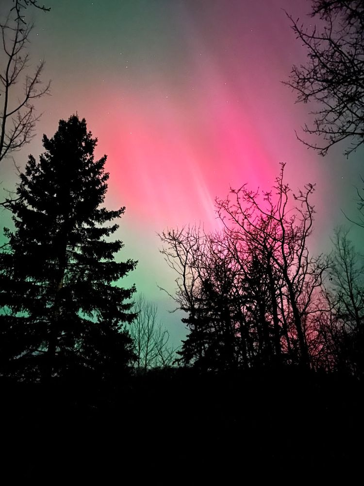 Northern Lights 