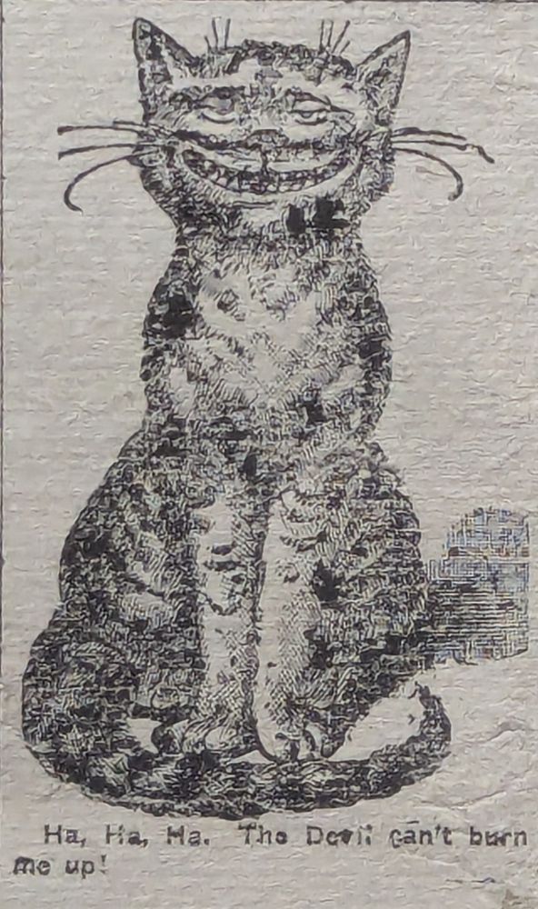 A cat with human like teeth and a drunken expression 