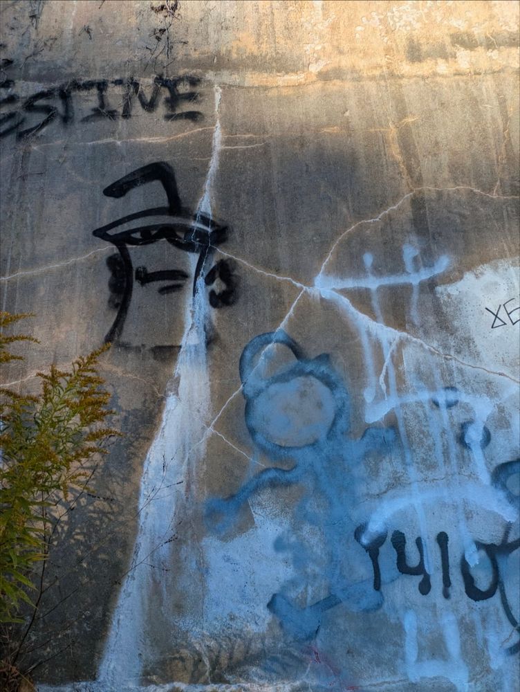 Shake from Aqua Teen Hunger Force spray painted on a dam