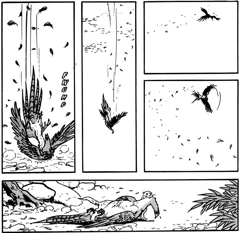 The weasel bites the bird aggressively, causing the bird to drop and break its neck. The weasel then displays the much larger bird as its reward.