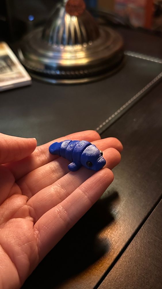 a small dark blue manatee shaped fidget toy in my hand