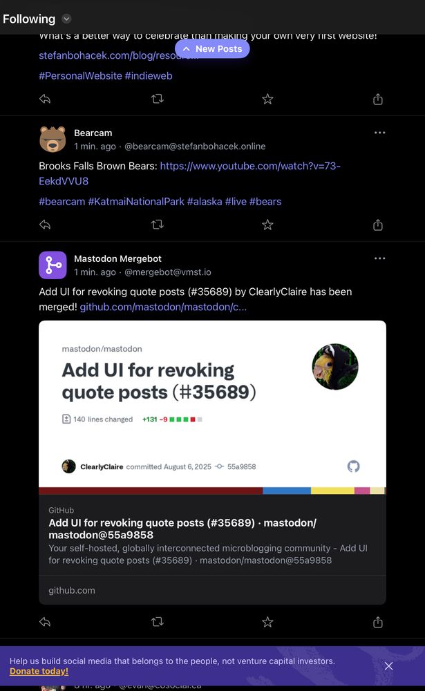 A screenshot of the official iPad mastodon TestFlight app. At the bottom, a small overlay asks for the user to consider contributing. It’s dismissable. 