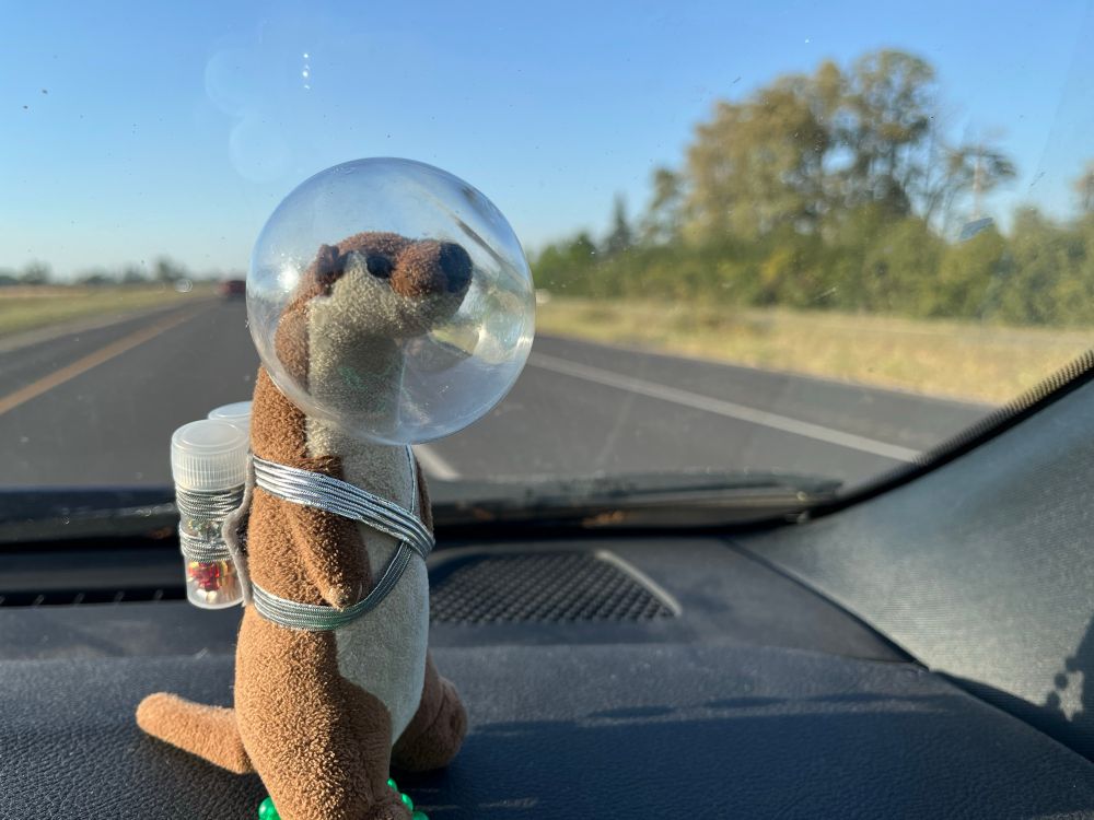Small plush otter on a car dashboard wearing a jetpack and space helmet
