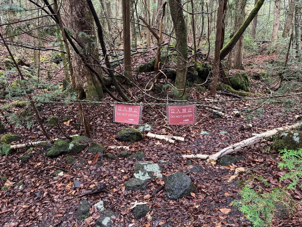 Forbidden path signs in Aokigahara, Japan.