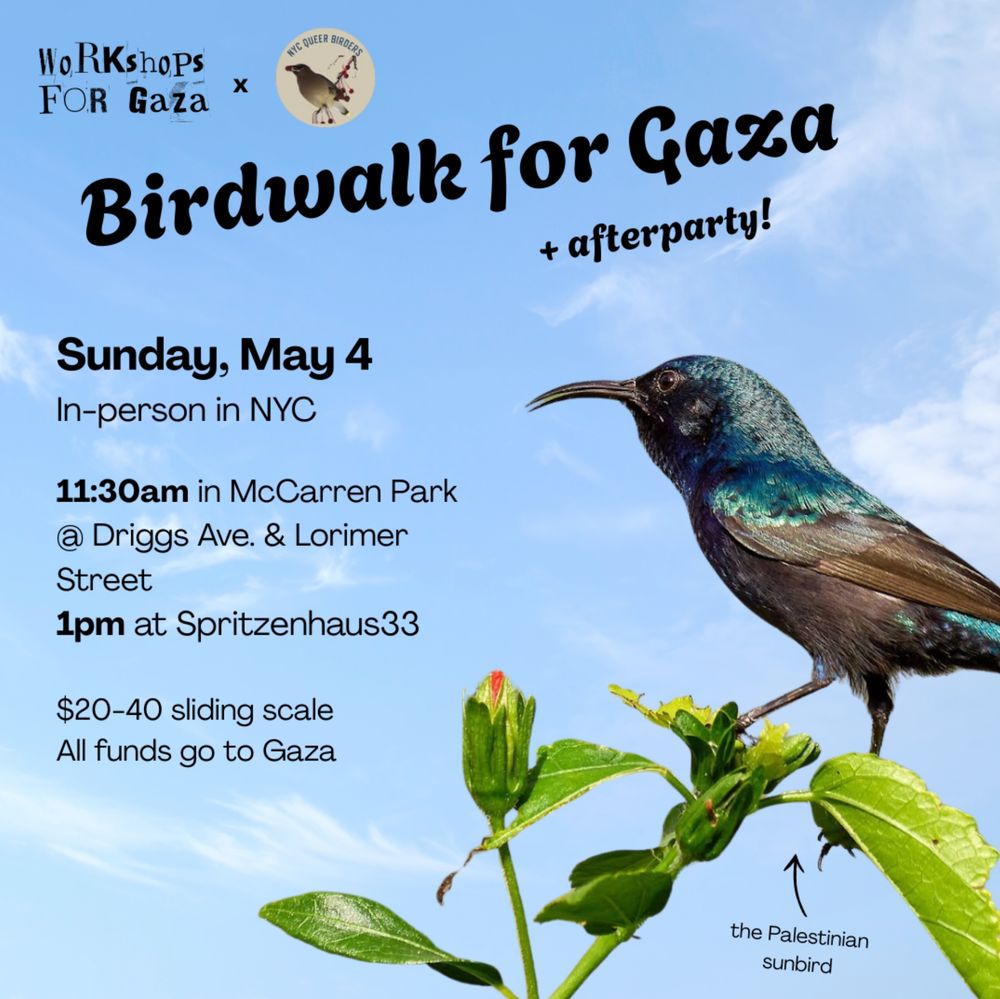 workshops for Gaza 
Birdwalk for Gaza + afterparty!
Sunday, May 4
In-person in NYC
11:30am in McCarren Park
@Driggs Ave and Lorimer St.
1pm at Spritzenhaus33
$20-40 sliding scale
All funds go to Gaza
text on artwork with Palestinian sunbird and blue sky
