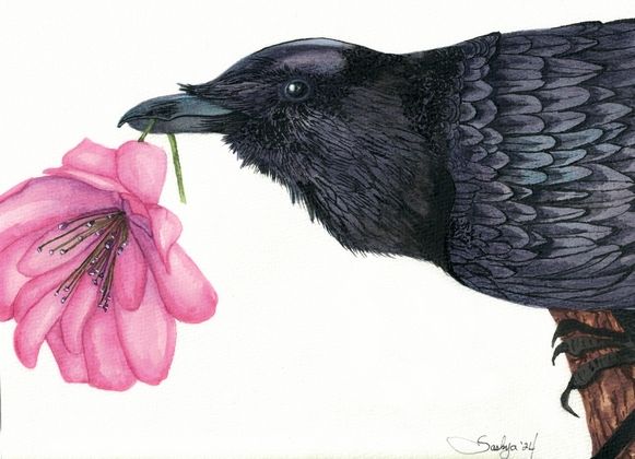 A watercolor painting of a raven holding a pink flower in his beak. Corvids are awesome and everyone should love them. 