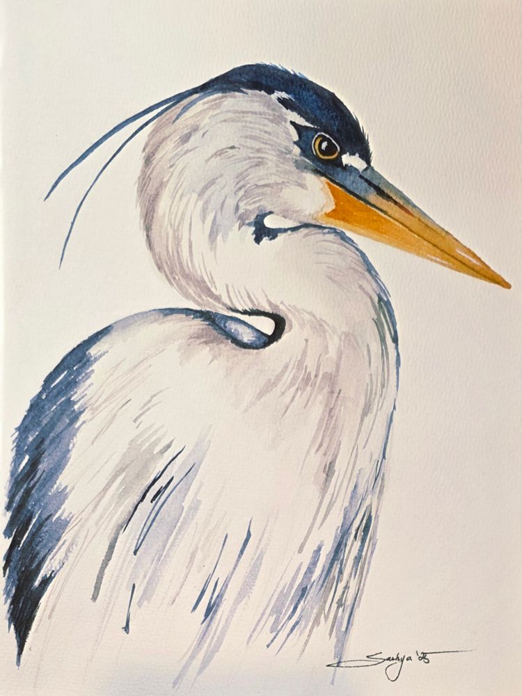 A watercolor painting of a blue heron. His neck is curved around on itself and the top of his head, his feathers and part of his beak are blue. The rest of the beak is a brilliant yellow and his eye that we can see it looks rather grumpy 
