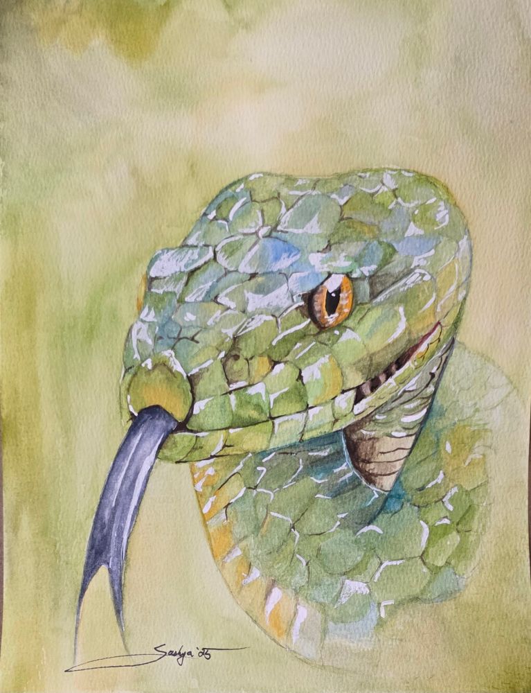 A watercolor painting of a green and yellow snake with a blue sheen and a lot of lights reflecting off of his scales.. his tongue is long and forked and a slight purple Gray. His eyes are orange and menacing. 