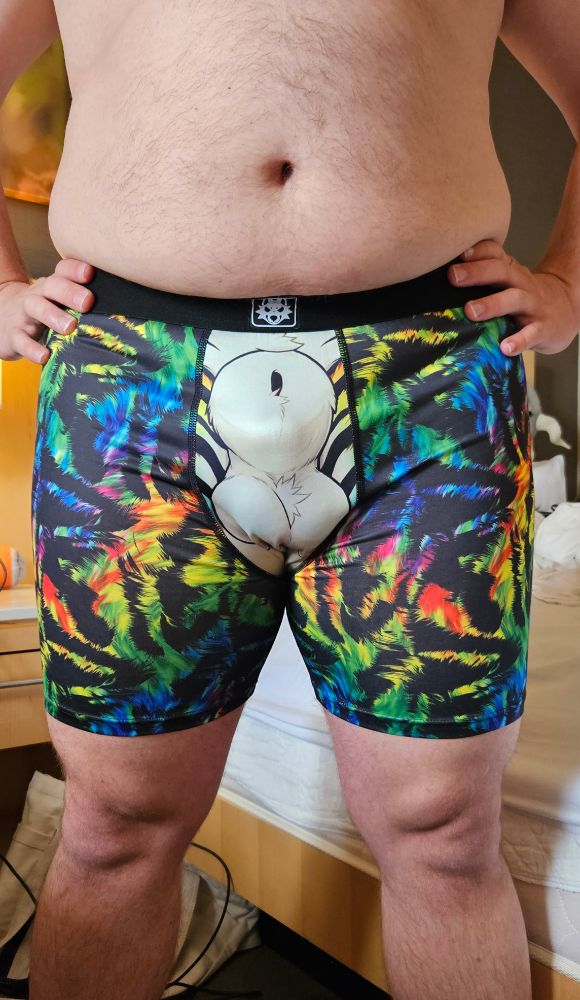 A man in a hotel room wearing only underwear that has a furry genitalia design on the front