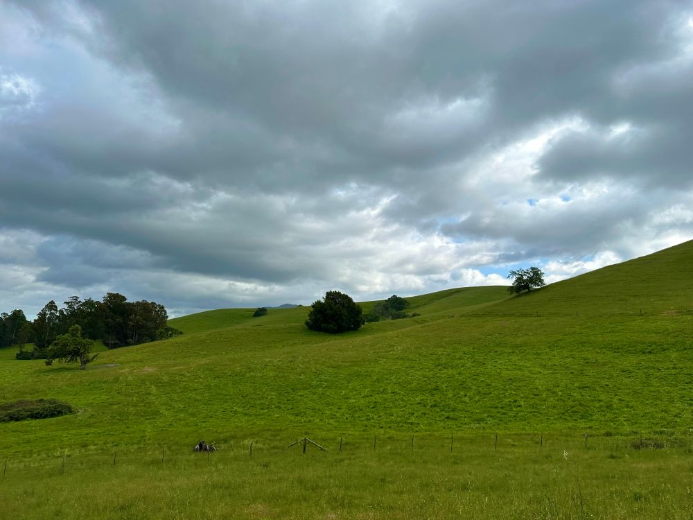 The backdrop of North Bay Python: Rolling green hills and cloudys with blue sky peeking through.