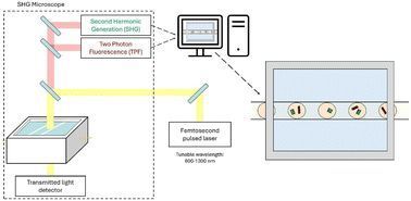 A new crystallization platform coupling droplet-based microfluidics with two photon and second harmonic generation microscopy is presented. It is used to monitor concomitant polymorphism of orthoaminobenzoic acid crystals.