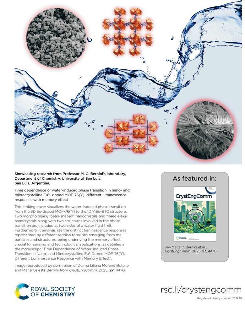 CrystEngComm Outside Back Cover for vol 27, issue 26.