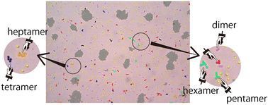 Small clusters with irregular forms detected by machine learning.