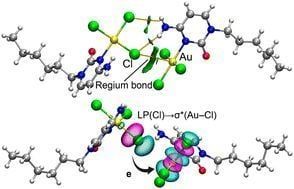 Two novel Au(III)–cytosine complexes were synthesized and structurally characterized. Solid-state analysis and DFT calculations reveal the key role of π-hole regium bonds and anion–π interactions in directing supramolecular assembly.