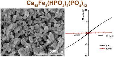 Iron whitlockite (Fe-WH, Ca18Fe2(HPO4)2(PO4)12) powder was successfully synthesized by a wet-chemical approach. The synthesis was performed through a dissolution–precipitation process under hydrothermal conditions.