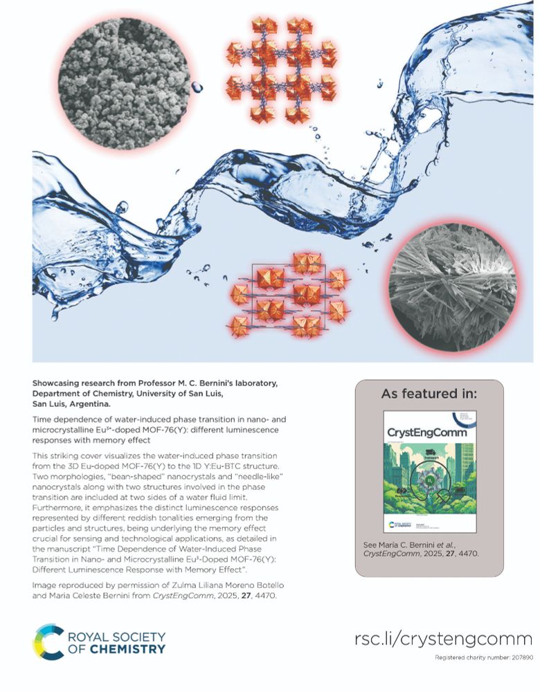 CrystEngComm Outside Back Cover for vol 27, issue 26.