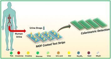MOFs enhance biomedical test strips with high sensitivity, selectivity, and eco-friendliness via porous, tunable structures. Their luminescent and catalytic properties enable precise biomarker detection, advancing rapid and reliable point-of-care diagnostics.