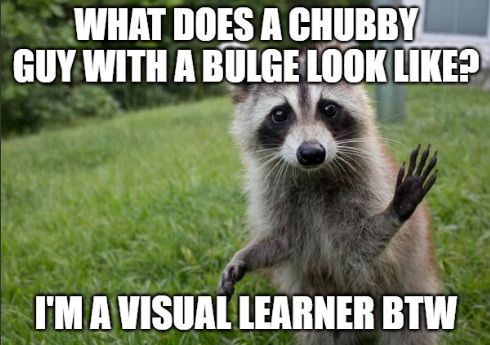 A raccoon picture with the text saying "What does a chubby guy with a bulge look like? I'm a visual learner btw"