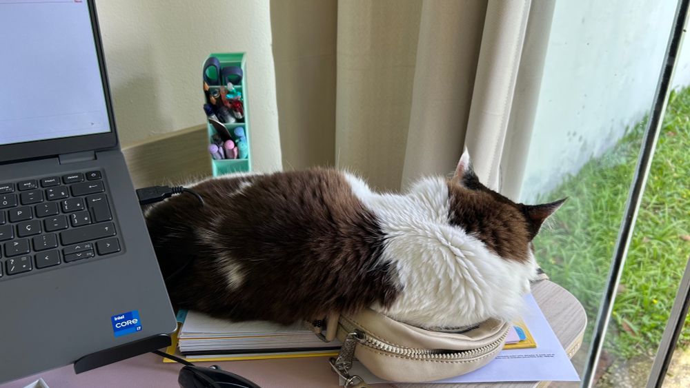 gata preta e branca deitada na minha mesa em cima de uma bolsa pequena, que está em cima da minha agenda aberta. à esquerda da pra ver meu notebook e meu porta canetas. 