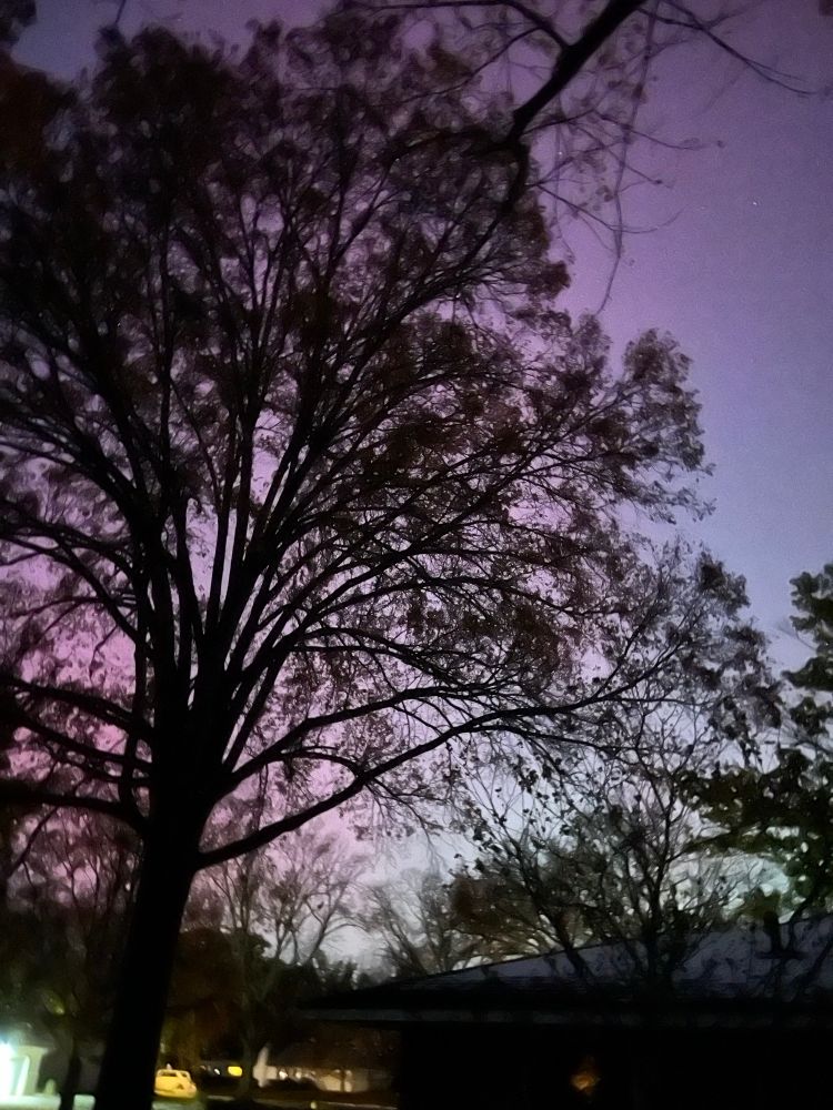 Aurora borealis in Columbus as seen from my house. 
