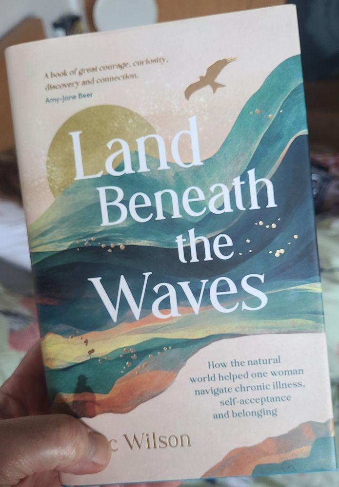 A copy of Land Beneath the Waves with teal waves over a pale apricot background with the shadow of a red kite and a women.