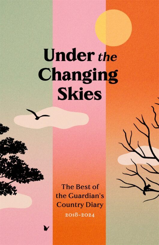 Title - Under the Changing Skies on  pink, red and green cover with tree branches and a silhouette of a bird.