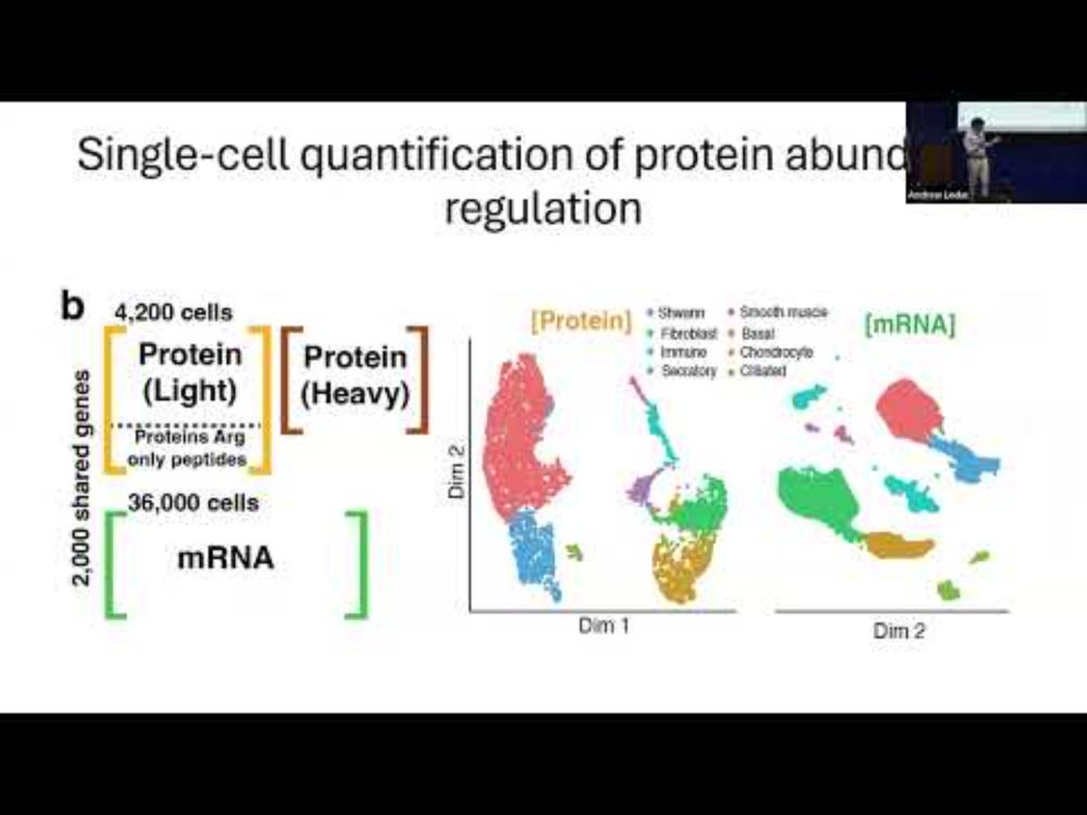 Quantification of gene expression control in a mammalian tissue at single cell resolution | SCP2025