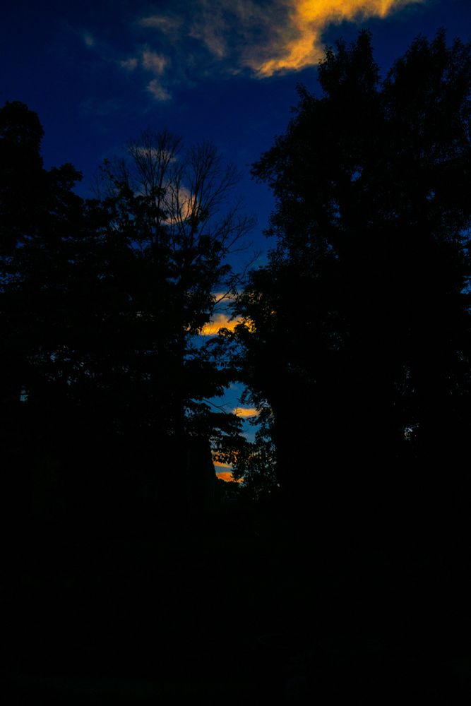 Tree silhouettes rise against a textured twilight sky, where deep blues give way to glowing bands of orange and yellow. The cloud patterns are irregular~almost ~chaotic yet they hold a kind of suspended clarity across the horizon. The contrast between the dark tree line and the vibrant sky recalls an archival layering: time of day, atmospheric distortion, and natural framing working as structural record, not aesthetic effect. 
