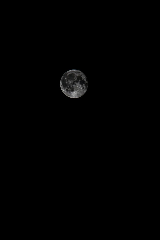 A high-resolution image of the moon in a waxing gibbous phase, set against a dark night sky. The moon’s surface is sharply detailed, revealing craters and textured patterns that highlight its natural contours.
