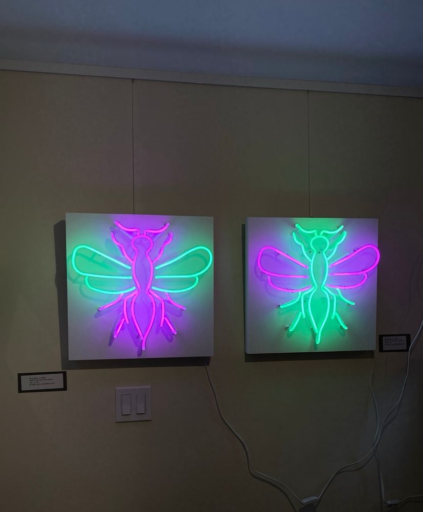 Two neon wasps hanging side-by-side in a gallery. One has green wings and a magenta body and the other has magenta wings and a green body.