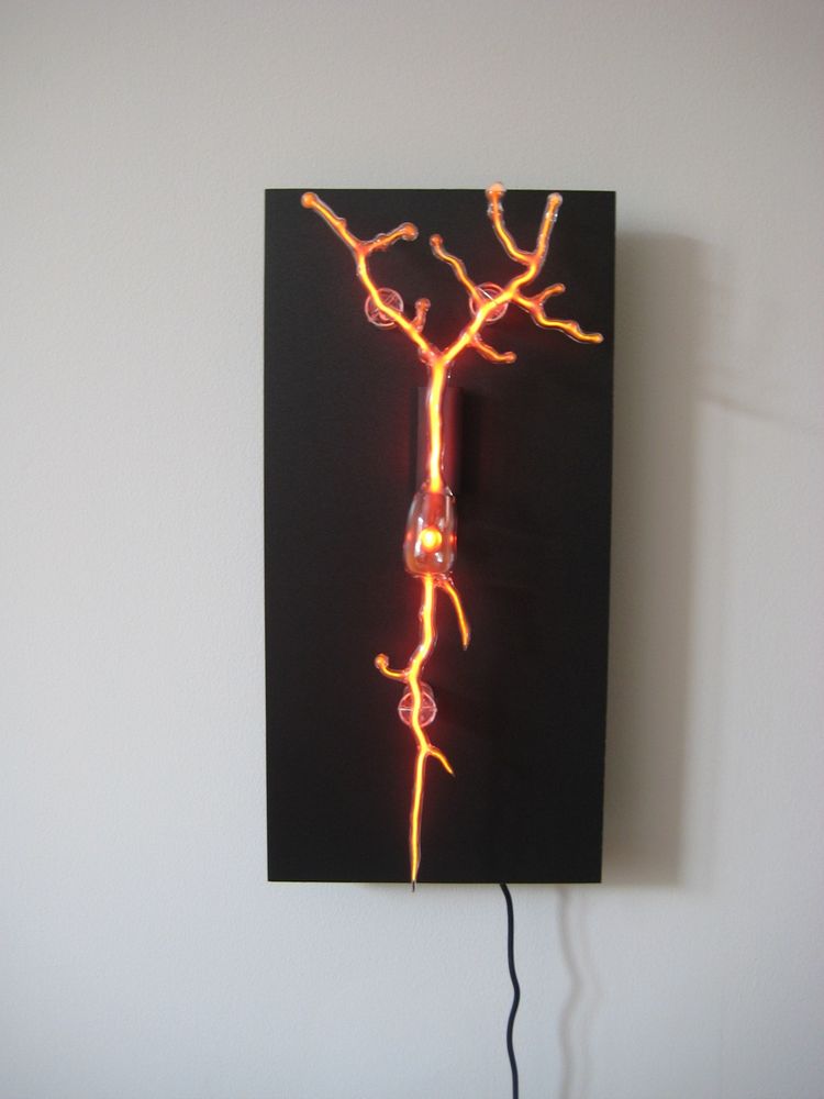 Glass tubing shaped in the form of a neuron filled with neon gas.