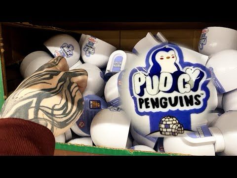 Pudgy Penguins- Opening Mystery Capsules