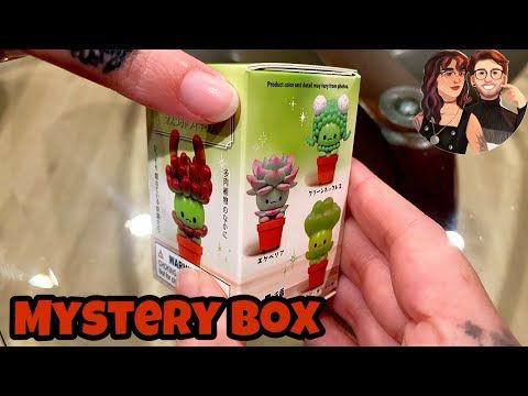 Succulent Friends- Opening Blind Box