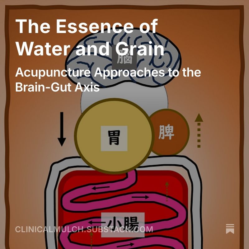 Schematic drawing of the brain-gut axis, showing the brain, stomach, spleen, and intestines with Chinese characters identifying each. The title reads "The Essence of Water and Grain: Acupuncture Approaches to the Brain-Gut Axis"