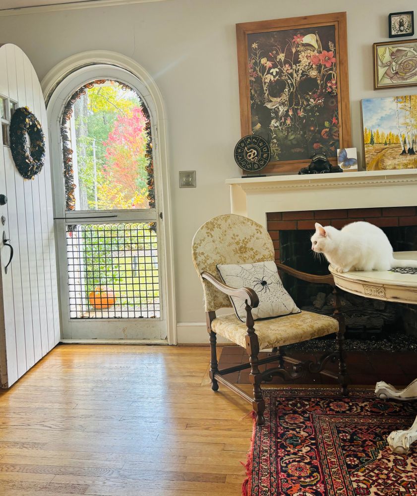 Interior shot of a living room with a front door open to fall colors. Various Halloween decorations s are visible as well as a white cat. 