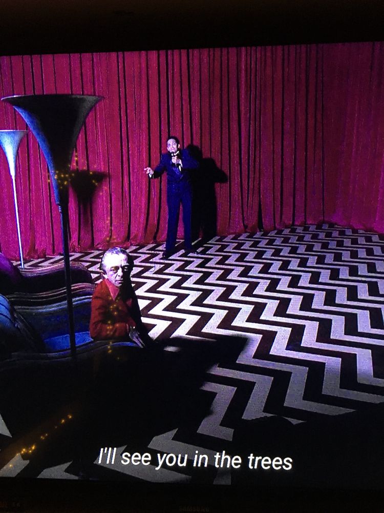 „i will see you in the trees“ (screenshot of last episode of twin peaks)