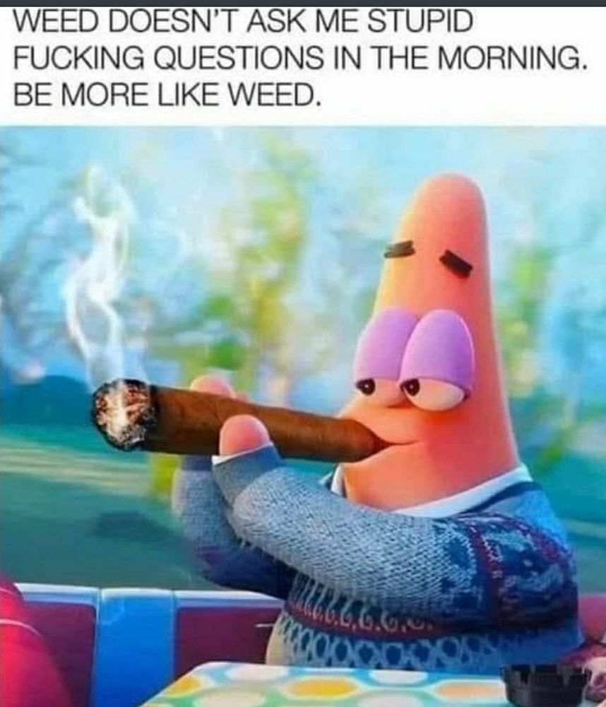 A meme of patrick from spongebob squarepants , smoking a fatty boom batty with the caption : weed doesn't ask me stupid fucking questions in the morning .
Be more like weed 
