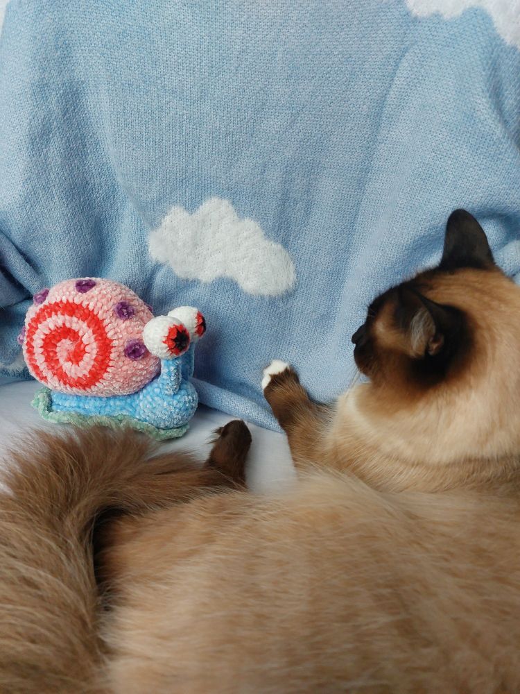 gato siamês deitado com um caracol colorido de crochê, num fundo azul com uma nuvem branca
