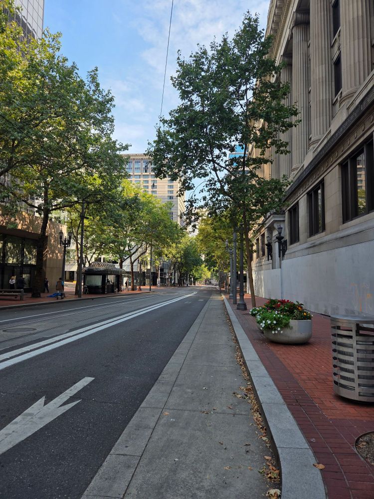 Picture of downtown Portland